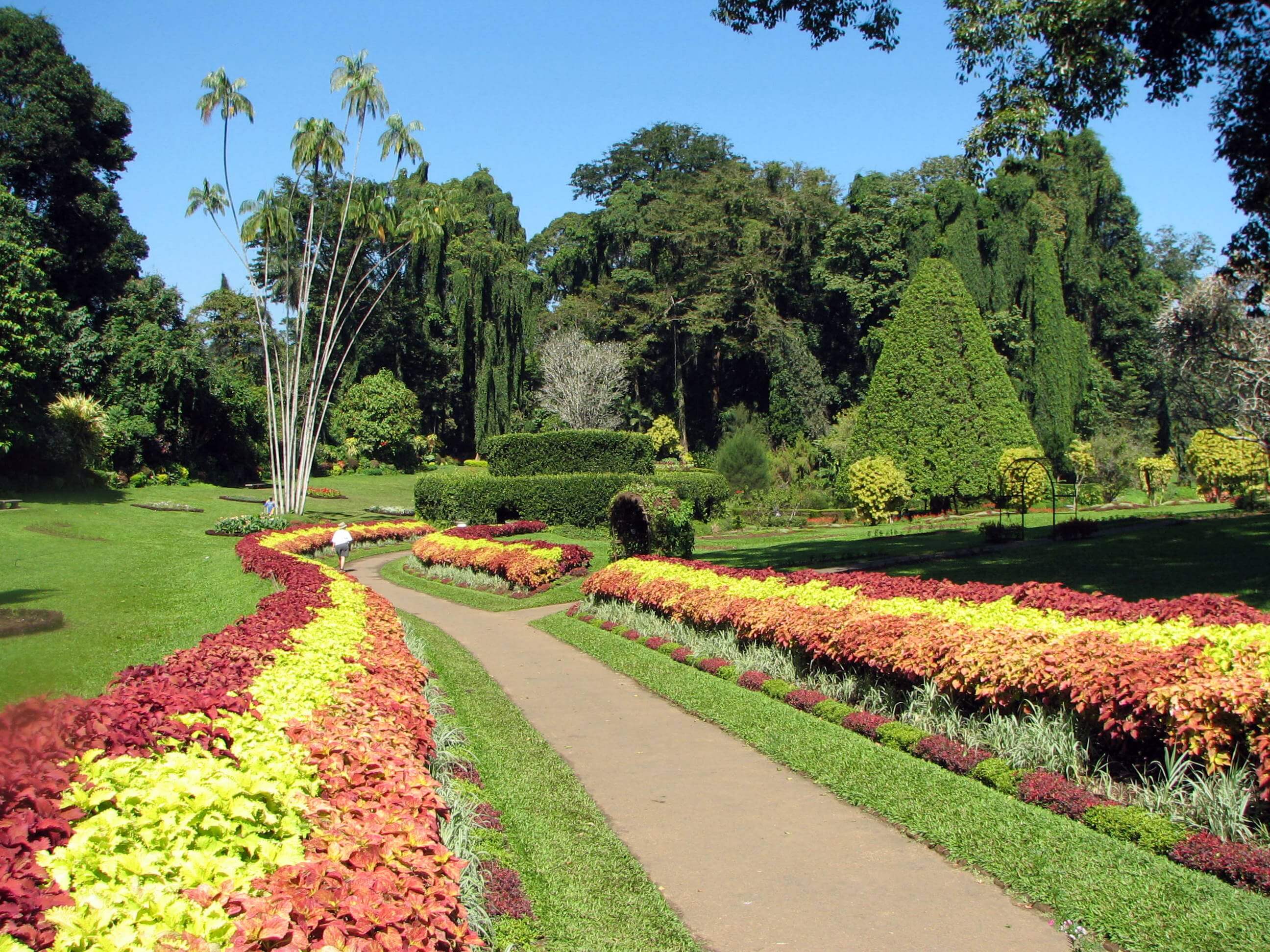 Royal Botanic Gardens - Peradeniya